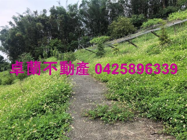 苗栗農地-9