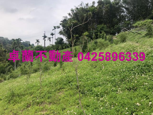 苗栗農地-11