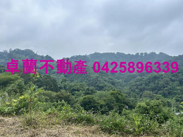 苗栗農地-1