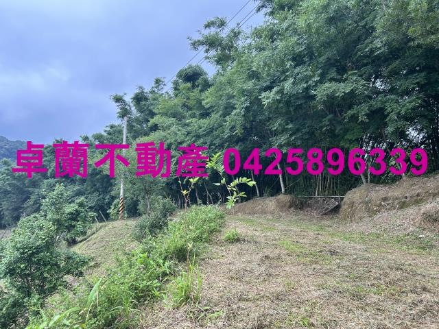 苗栗農地-2