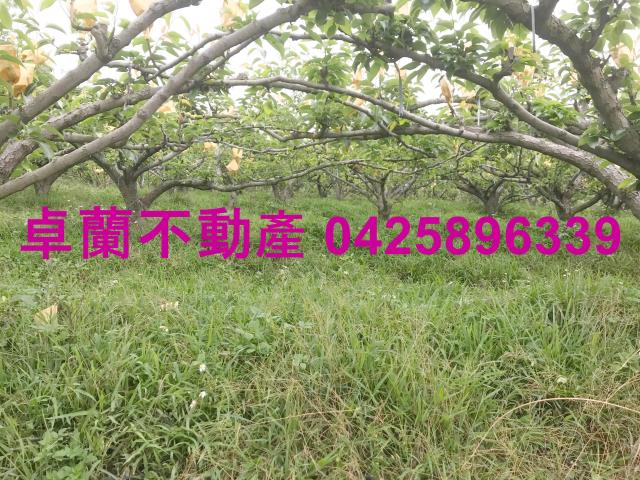 苗栗農地-10