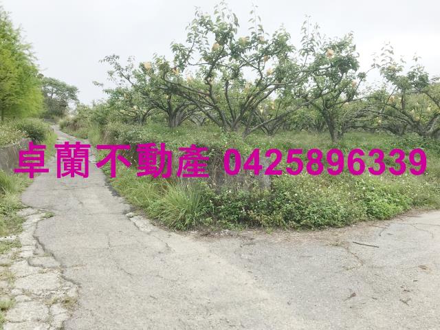 苗栗農地-11