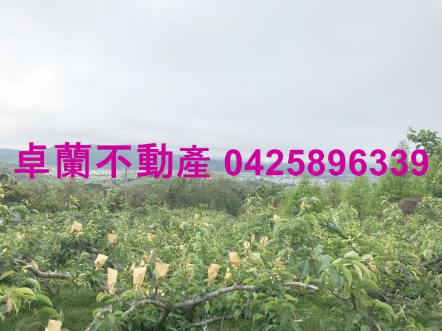 苗栗農地-1