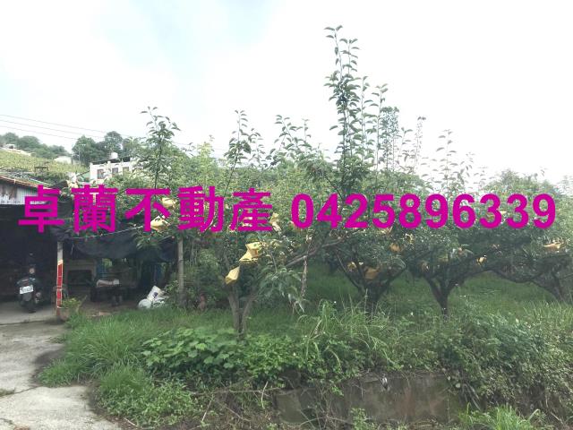 苗栗農地-4