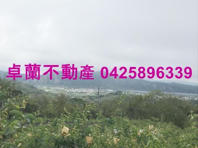 苗栗農地-5