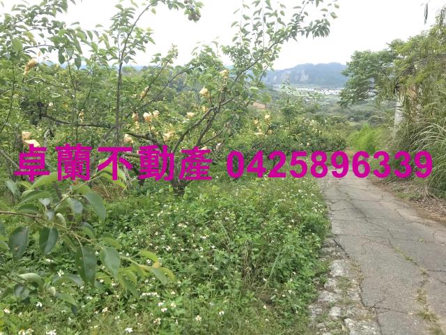 苗栗農地-6