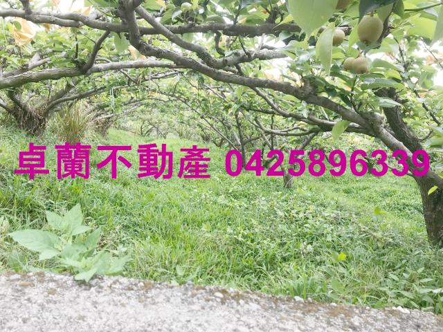 苗栗農地-8