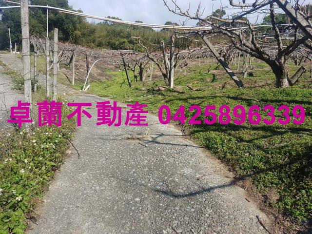 卓蘭農地-6