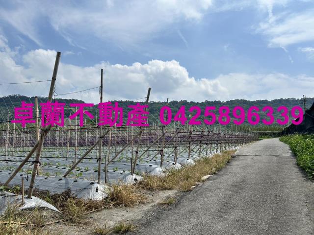 苗栗卓蘭農地-0