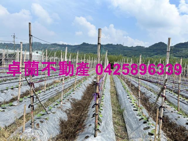 苗栗卓蘭農地-4