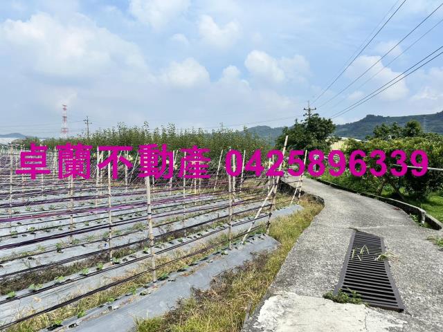 苗栗卓蘭農地-6