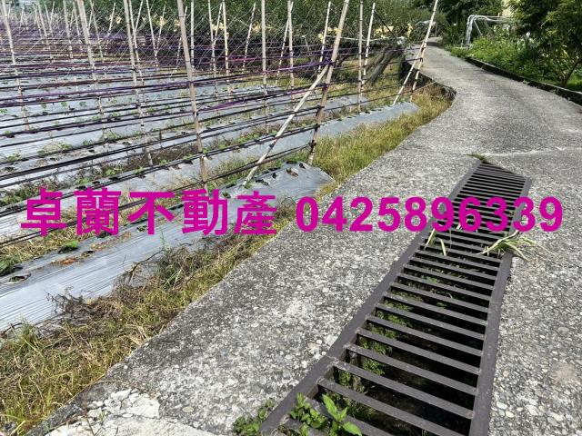 苗栗卓蘭農地-7