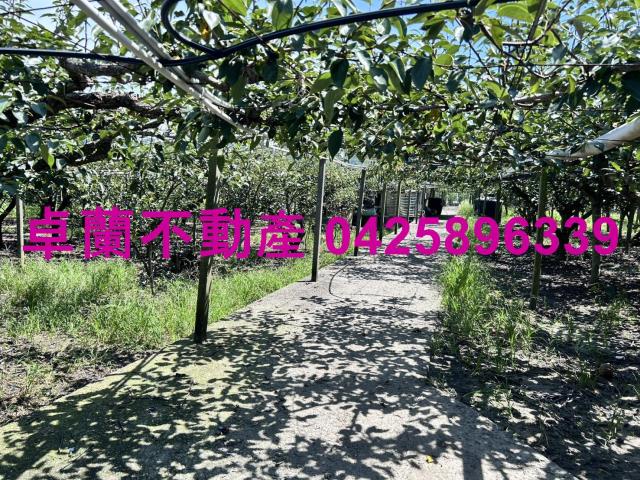 苗栗卓蘭農地-9
