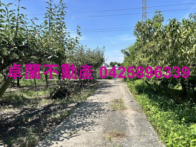苗栗卓蘭農地-10