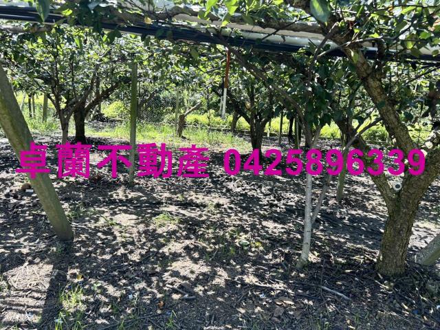 苗栗卓蘭農地-11