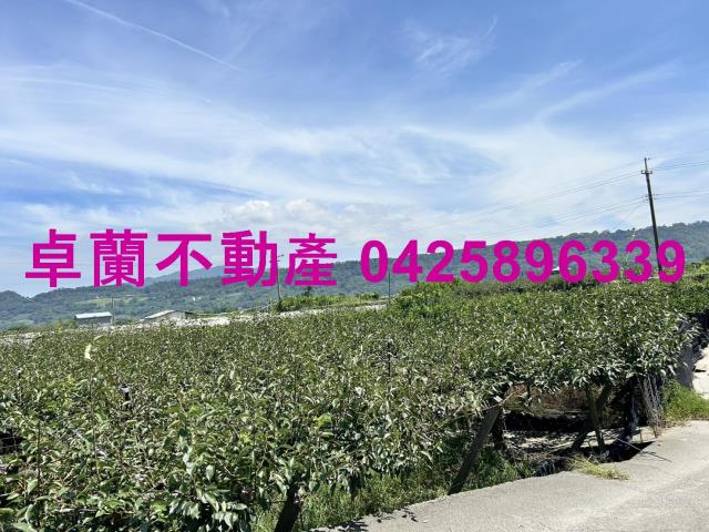 苗栗卓蘭農地-12