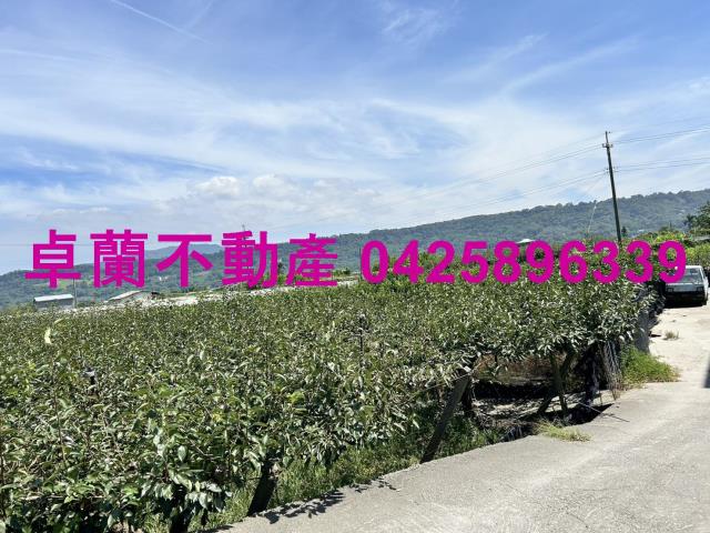 苗栗卓蘭農地-13