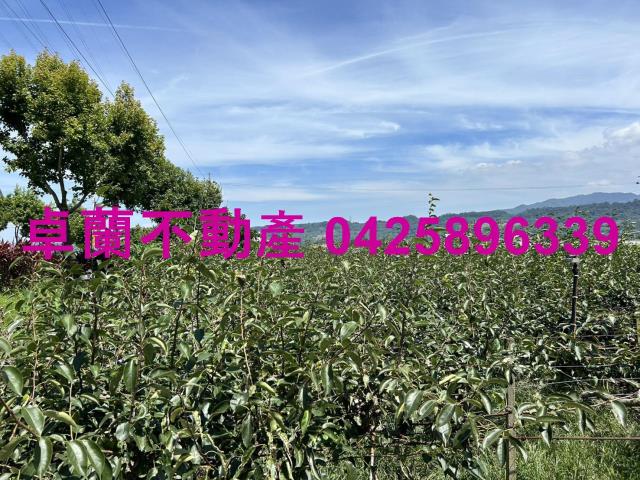 苗栗卓蘭農地-14