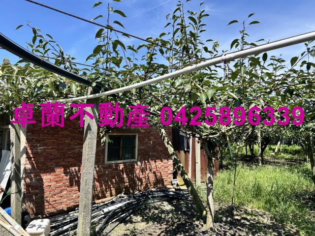 苗栗卓蘭農地-0