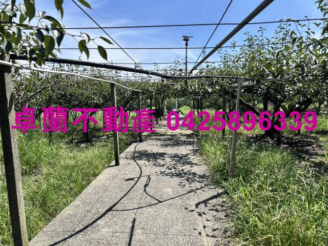 苗栗卓蘭農地-4