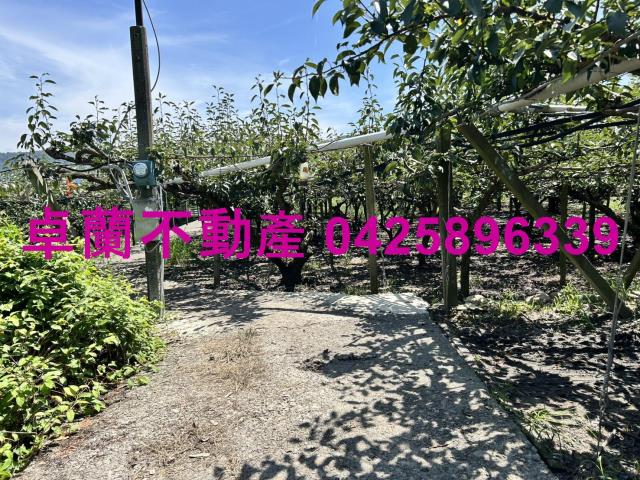 苗栗卓蘭農地-6