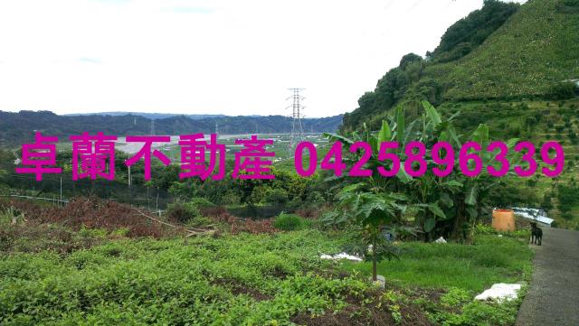 苗栗卓蘭農地-9