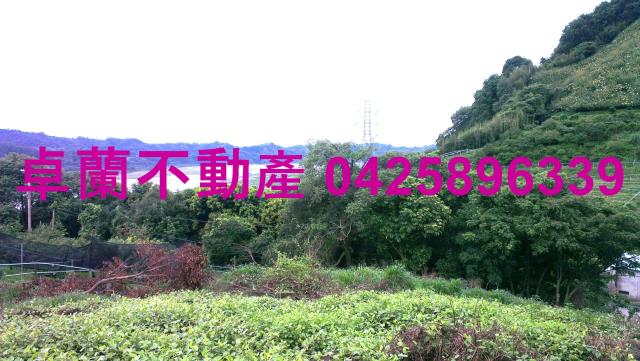 苗栗卓蘭農地-13
