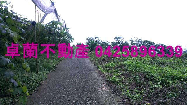 苗栗卓蘭農地-3