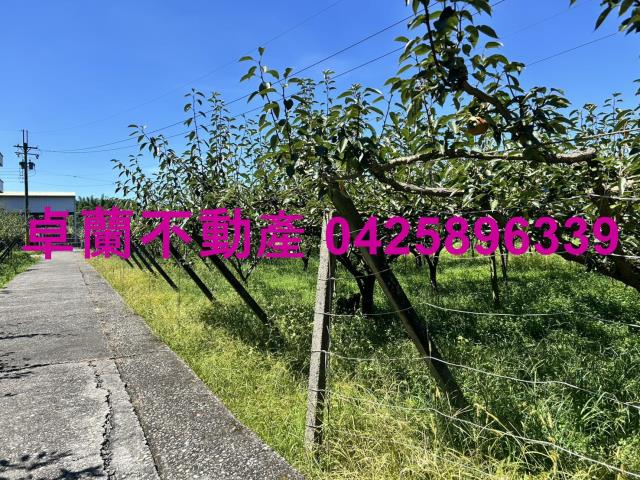 苗栗卓蘭農地-3