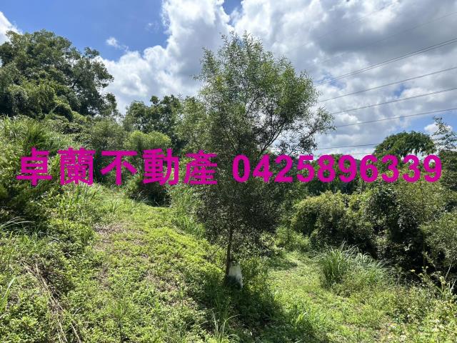苗栗大湖山坡地-10