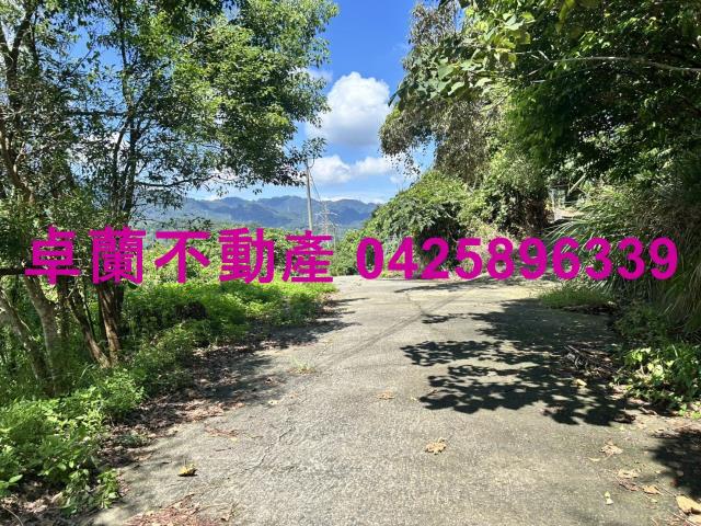 苗栗大湖山坡地-11