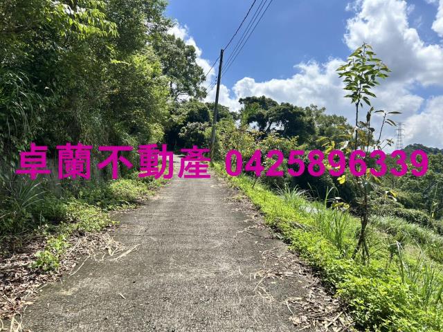 苗栗大湖山坡地-0
