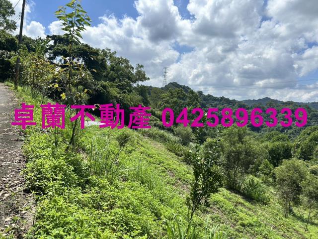 苗栗大湖山坡地-1