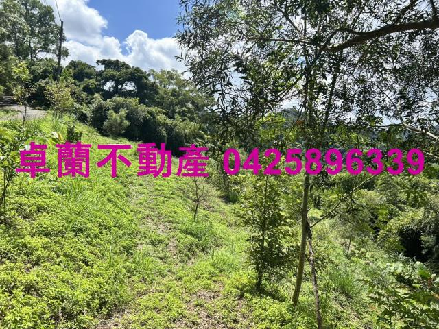 苗栗大湖山坡地-2