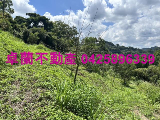 苗栗大湖山坡地-3
