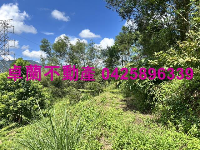 苗栗大湖山坡地-4
