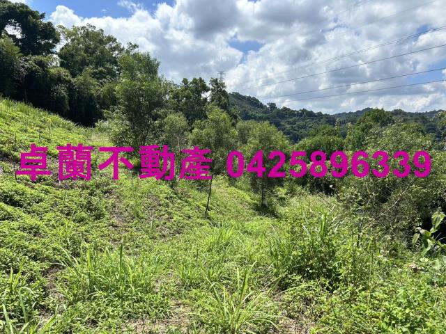 苗栗大湖山坡地-5