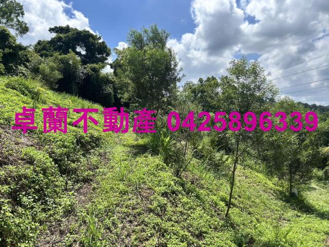 苗栗大湖山坡地-7