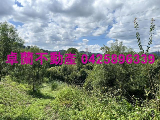 苗栗大湖山坡地-8
