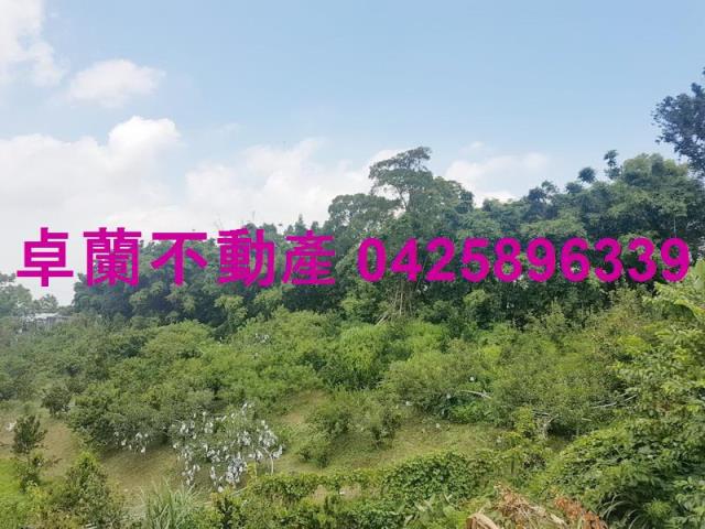 卓蘭農地-4