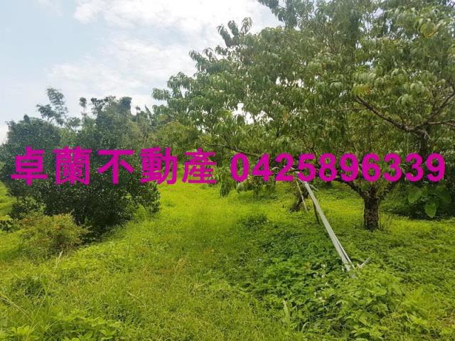 卓蘭農地-5