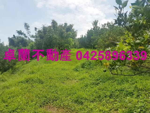 卓蘭農地-8
