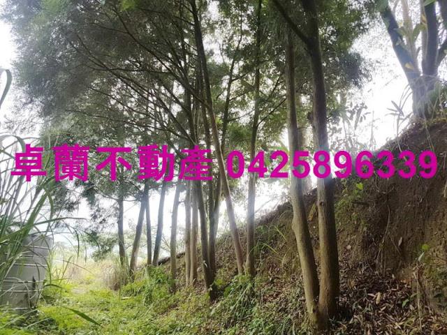 苗栗卓蘭農地-3