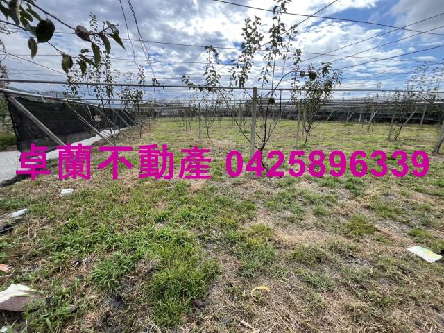 苗栗卓蘭農地-3
