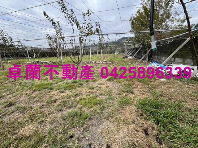 苗栗卓蘭農地-5