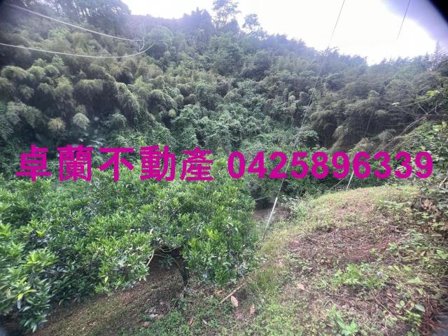 苗栗卓蘭農地-3