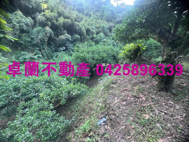 苗栗卓蘭農地-6