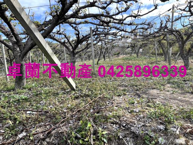 苗栗卓蘭農地-9