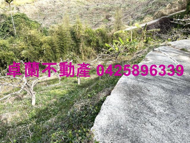 苗栗卓蘭農地-6