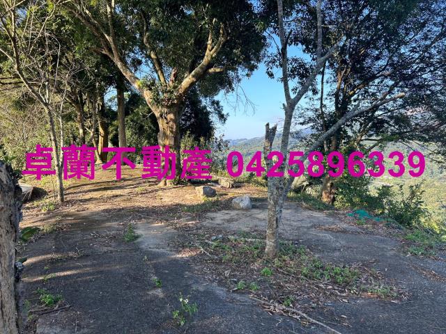 苗栗卓蘭農地-0